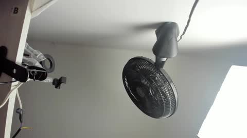 Vanessa online show from 10/27/25, 04:49