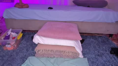 Snapshot of sweet_kahia chatting on 12/24/24, 08:55 Diana online show from 12/24/24, 08:55