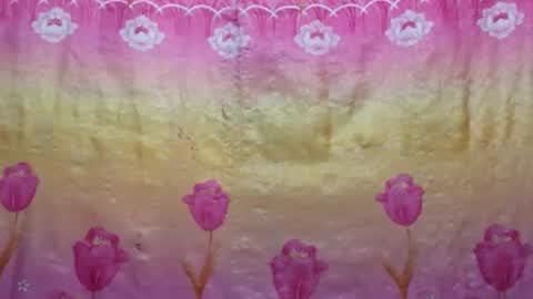 Nina online show from 01/30/25, 12:29