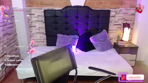 Snapshot of sweet_valery21 chatting on 02/21/25, 08:38 valery online show from 02/21/25, 08:38