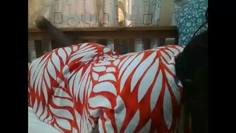 MELVIN online show from 11/25/25, 07:08