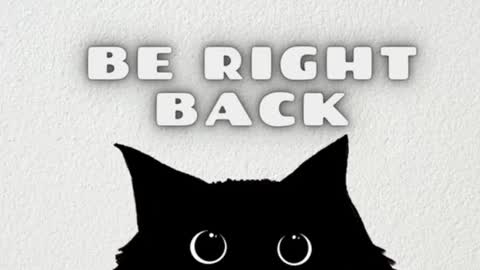       Independent model online show from 12/25/24, 07:35