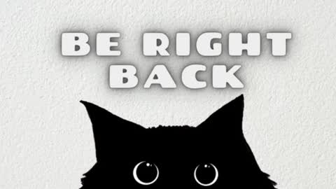       Independent model online show from 01/14/25, 07:48