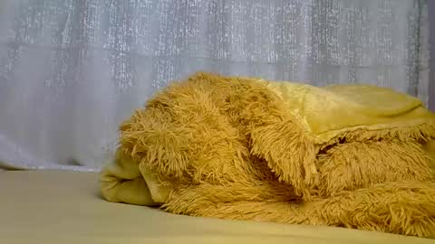 Snapshot of sweetfee chatting on 02/23/25, 03:40 sweetfee online show from 02/23/25, 03:40