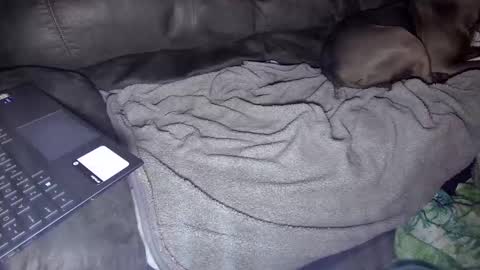 sweetgesus online show from 01/05/25, 03:53