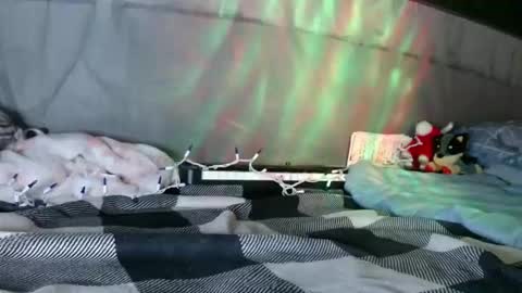 Snapshot of sweetnissapril chatting on 01/12/26, 09:03 April online show from 01/12/26, 09:03