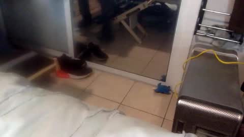 Snapshot of sweetnsexy95 chatting on 12/18/24, 03:26 WeAim2PZzz online show from 12/18/24, 03:26