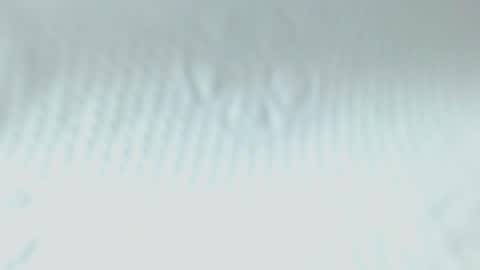 Ghena online show from 05/20/26, 02:51