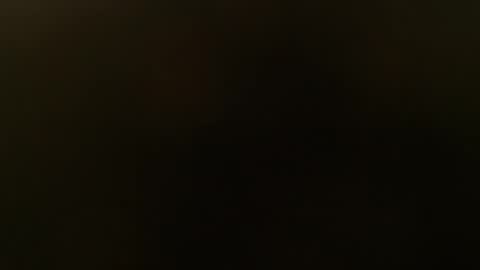 slim ivy online show from 10/26/25, 05:52