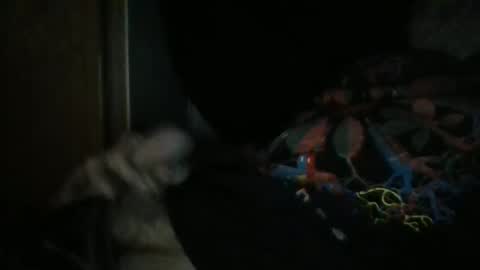 Snapshot of sweetpussylicks chatting on 12/29/24, 08:55 sweetpussylicks online show from 12/29/24, 08:55