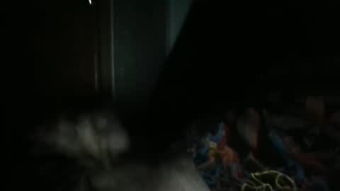 Snapshot of sweetpussylicks chatting on 02/07/25, 07:29 sweetpussylicks online show from 02/07/25, 07:29