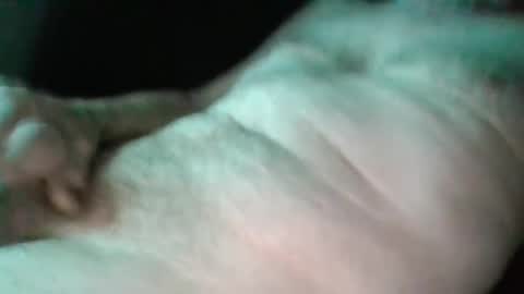 Snapshot of sweetpussylicks chatting on 02/17/25, 03:04 sweetpussylicks online show from 02/17/25, 03:04