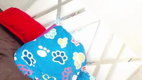 sweetsultrysiren online show from 01/23/25, 06:35