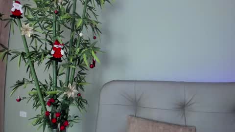 Snapshot of sweett_petite chatting on 12/29/24, 10:36    online show from 12/29/24, 10:36