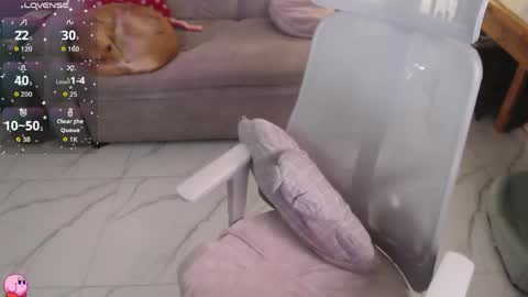 Snapshot of sweettoqui chatting on 04/25/26, 12:24 Pau online show from 04/25/26, 12:24