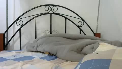 Snapshot of sweetvalariy chatting on 01/24/25, 11:59 sweetvalariy online show from 01/24/25, 11:59