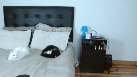 Snapshot of sweetyiris chatting on 12/14/25, 05:02 iris online show from 12/14/25, 05:02