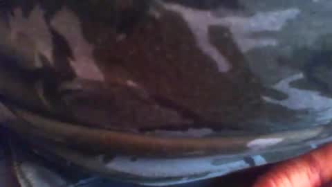 Snapshot of swils67 chatting on 04/20/26, 05:05 swils67 online show from 04/20/26, 05:05