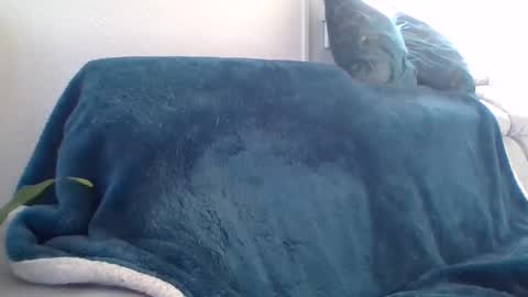 swissride online show from 02/27/25, 01:38