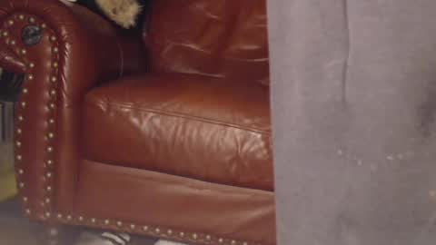 The DickGod online show from 03/09/25, 04:05