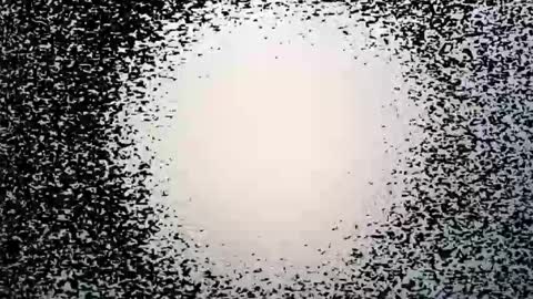 subfordomme online show from 03/28/26, 09:25