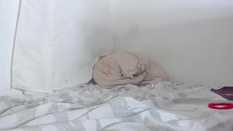 Snapshot of syd_achmed chatting on 09/11/25, 06:08 Greg online show from 09/11/25, 06:08