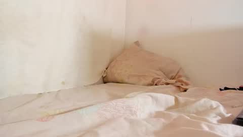 Snapshot of syd_achmed chatting on 09/26/25, 03:49 Greg online show from 09/26/25, 03:49