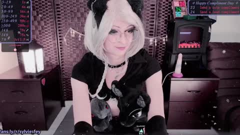 Sylvie online show from 01/25/25, 02:58