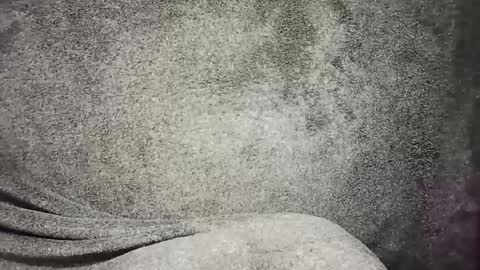 Snapshot of t0ny_cawk chatting on 12/22/24, 07:54 t0ny_cawk online show from 12/22/24, 07:54