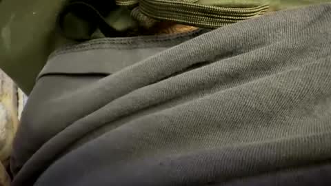 tRex online show from 10/24/25, 01:03