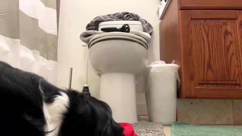 tRex online show from 11/22/25, 04:11