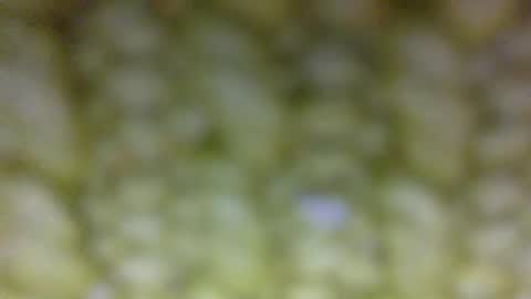 Snapshot of t__o__m__m__y__2323 chatting on 05/29/26, 01:42 Prostate Orgazmer online show from 05/29/26, 01:42