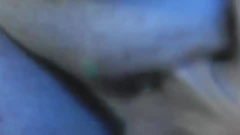 Snapshot of t_guy45 chatting on 10/13/25, 03:56 T Guy45Chunkywise45 online show from 10/13/25, 03:56