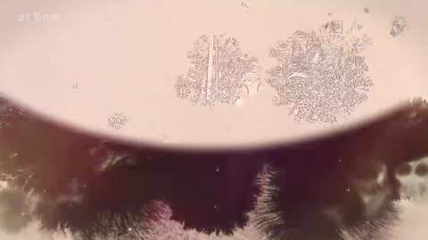 Snapshot of taanni_bc chatting on 02/22/26, 10:08 TAANNI online show from 02/22/26, 10:08