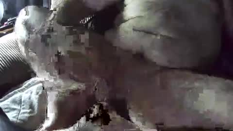 tacozod online show from 01/02/25, 10:33