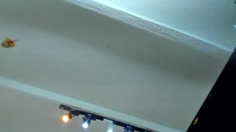 Snapshot of tafari_1 chatting on 06/04/26, 11:16 Tafari Zulu online show from 06/04/26, 11:16