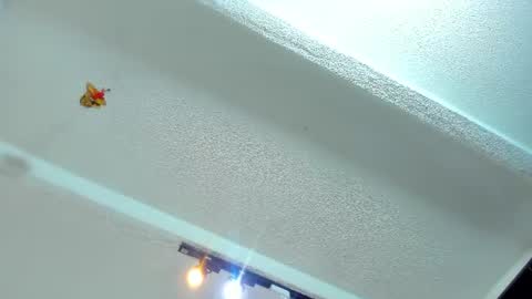 Snapshot of tafari_1 chatting on 06/25/26, 01:37 Tafari Zulu online show from 06/25/26, 01:37