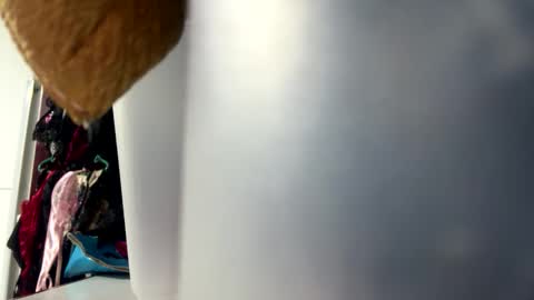 Snapshot of talianavega chatting on 10/25/25, 06:35 tali online show from 10/25/25, 06:35