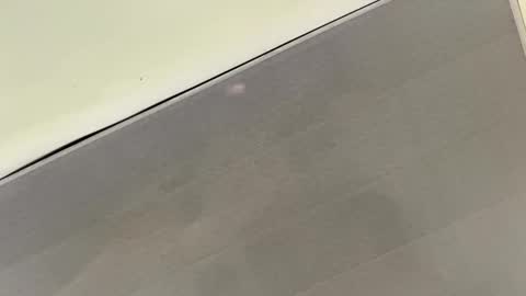 Snapshot of talianavega chatting on 11/01/25, 03:36 tali online show from 11/01/25, 03:36