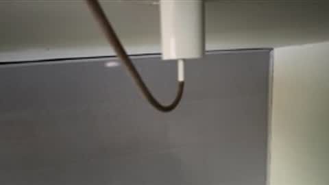 Snapshot of talianavega chatting on 04/08/26, 12:16 tali online show from 04/08/26, 12:16