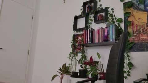 Tali Majid online show from 02/16/26, 08:16