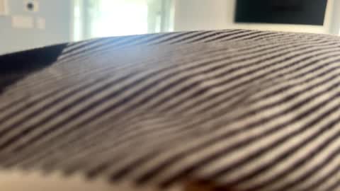 talk2me818 online show from 01/02/25, 03:08