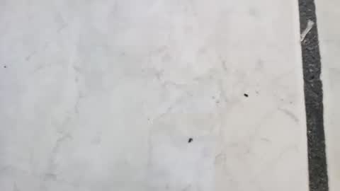 Snapshot of tall6feet7inch chatting on 09/14/25, 11:42 tall6feet7inch online show from 09/14/25, 11:42