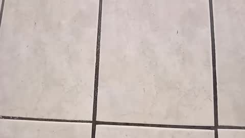 Snapshot of tall6feet7inch chatting on 09/28/25, 08:03 tall6feet7inch online show from 09/28/25, 08:03