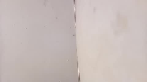 tall6feet7inch online show from 02/03/26, 07:13