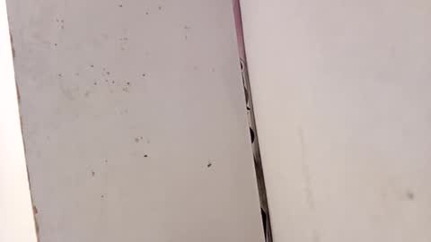 tall6feet7inch online show from 02/15/26, 03:31