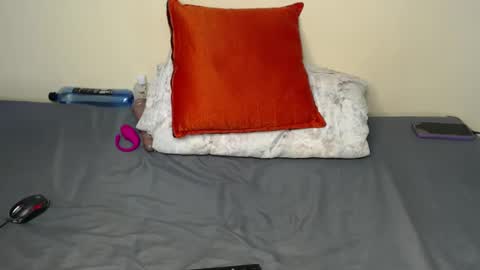 Snapshot of tally_sam chatting on 02/22/25, 11:13 tally_sam online show from 02/22/25, 11:13