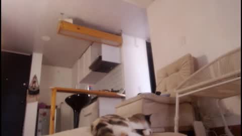 Snapshot of tamara_daniels chatting on 03/15/26, 08:15 Tamara online show from 03/15/26, 08:15