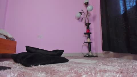 TAMARA  online show from 01/23/25, 03:22