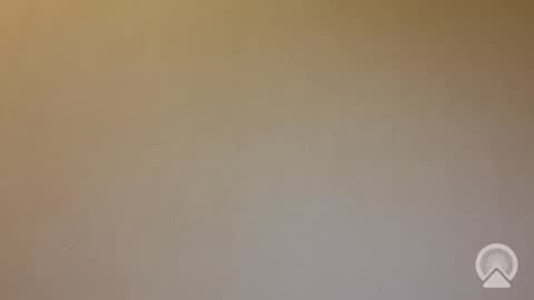 tanelure online show from 09/25/25, 05:49